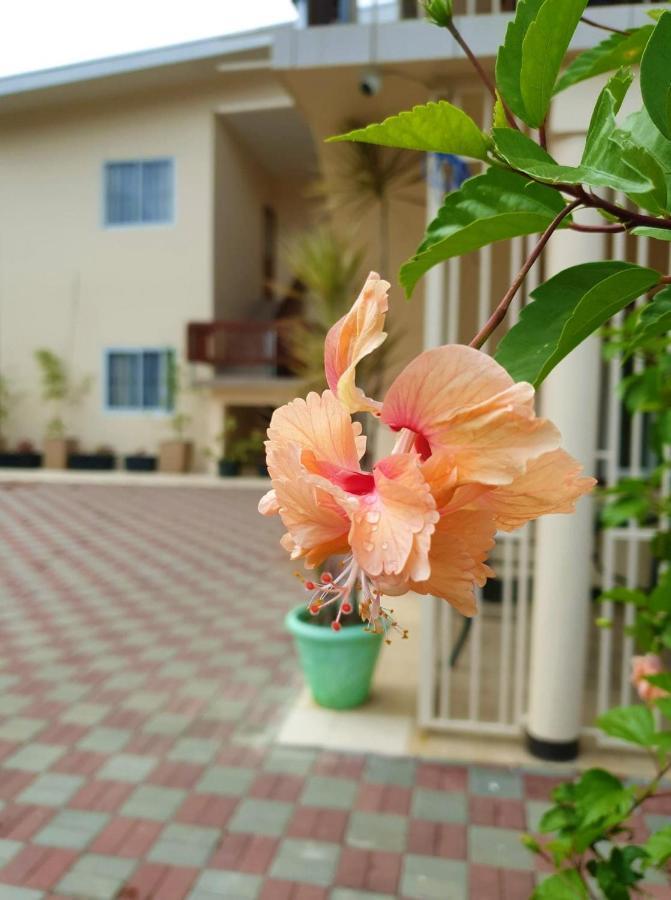 Amalia Apartments Paramaribo Exterior foto